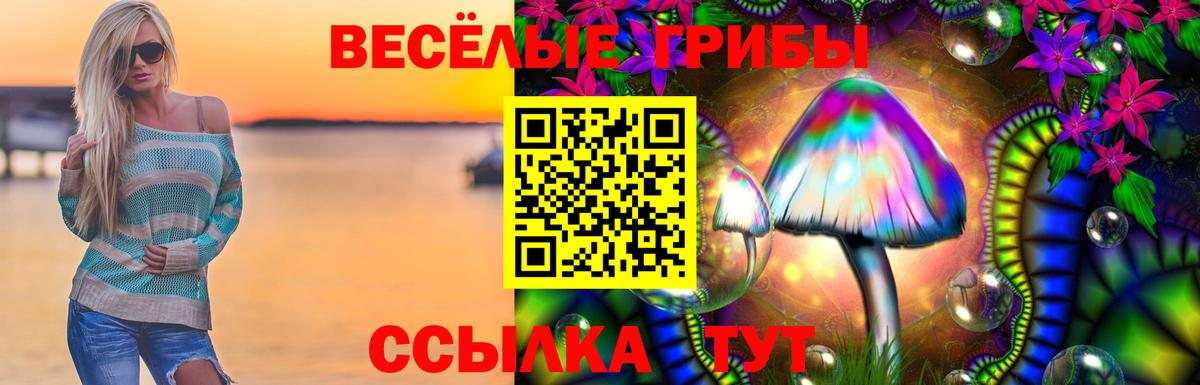 Галлюциногенные грибы прущие грибы Новочеркасск