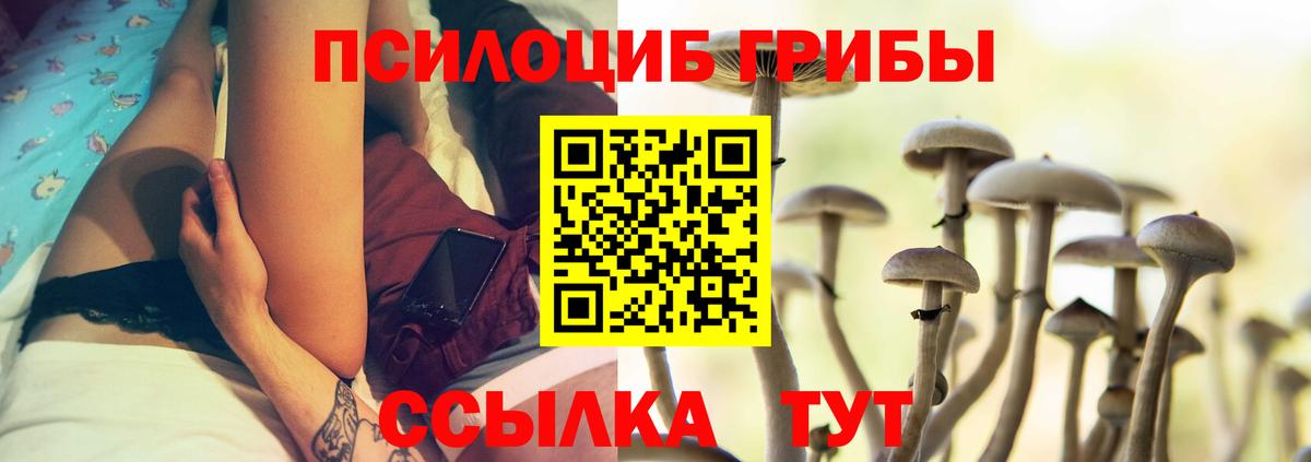 Новочеркасск  Галлюциногенные грибы Magic Shrooms  сколько стоит  Вход с VPN 